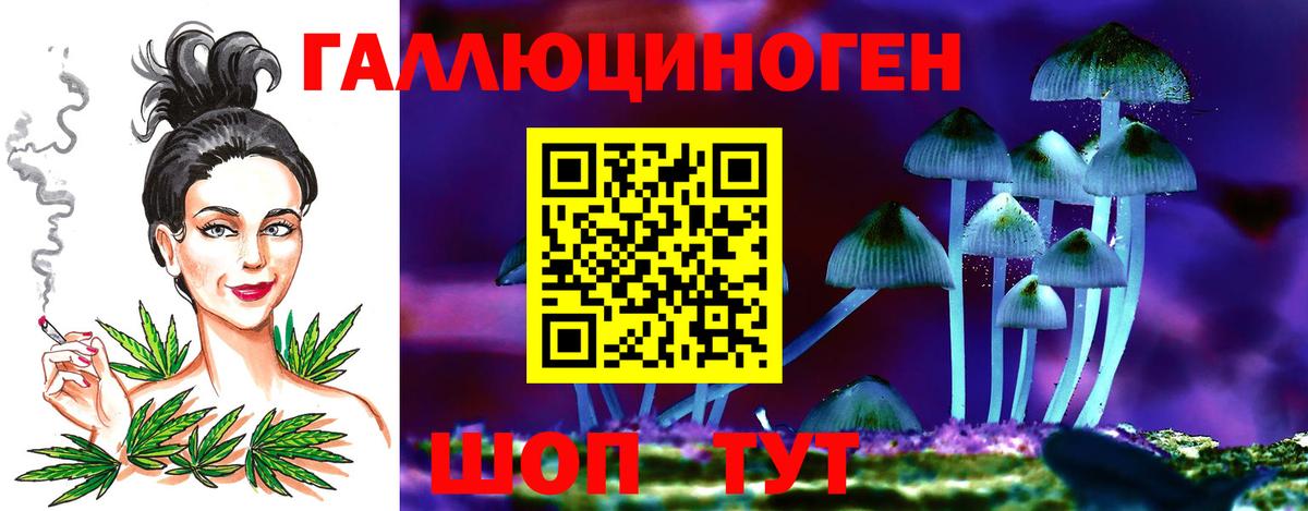 Галлюциногенные грибы прущие грибы  что такое   Астрахань  Вход с VPN 